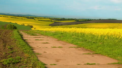 Clouds are Running over Flowering Fields. Time Lapse Stock-Footage 106453698