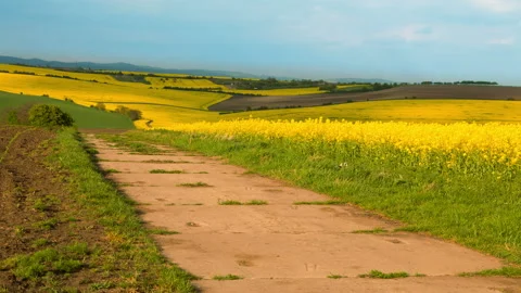 Clouds are Running over Flowering Fields. Time Lapse 4K 動画素材 106453794