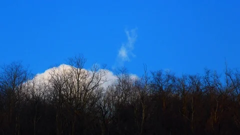 Clouds  are Running over a Forest - Time lapse 4k Stock Footage 126633568