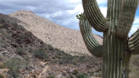 Clouds in Arizona Desert 動画素材 108462673