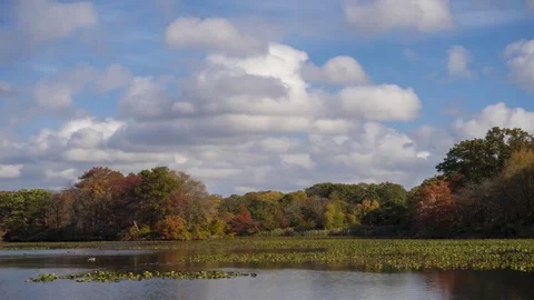 Clouds on an Autumn Day 4k Stock Footage 83458327