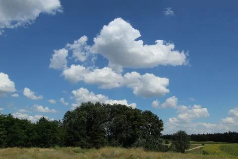 Clouds on the background of the forest Stock Photos