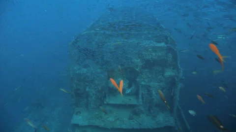 Clouds of bait fish on the ship wreck Stock Footage 22732150