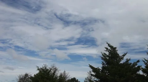 Clouds behind pretty green trees. 動画素材 67424633
