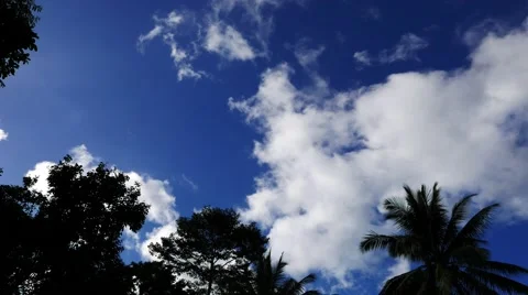 Clouds Behind Trees 02 (Time Lapse) Stock Footage 58741624