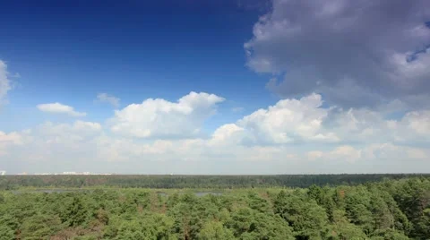 Clouds behind the trees in the forest. Full HD (Time Lapse) Stock Footage 40252965