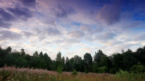 Clouds behind the trees in the forest. Moiseevichi,  Stock Footage 29680297