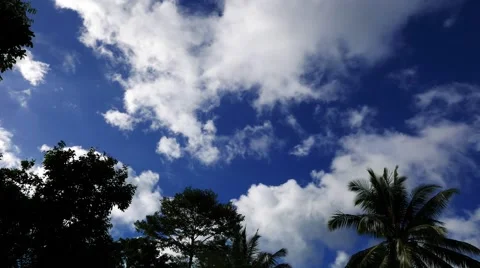 Clouds Behind Trees  (Time Lapse) Stock Footage 58740244