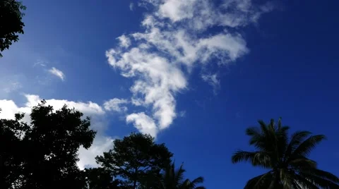 Clouds Behind Trees  (Time Lapse) Stock Footage 58741930