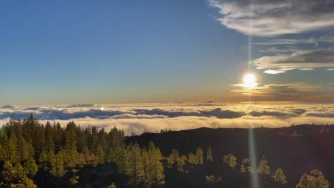 Clouds Beneath Pine Trees  in Teide National Park Stock Footage 308220745