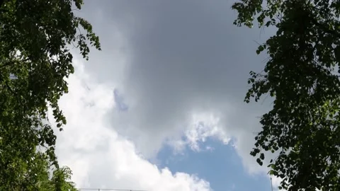 Clouds Between Two Trees Stock Footage 132103722