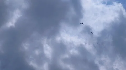 Clouds with Bird Silhouettes 4K 動画素材 129378954