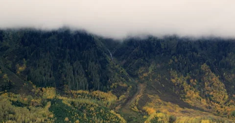 Clouds blanket the mountains above Fall Color, Canoe Reach, Canadian Rockies Stock Footage 60699789