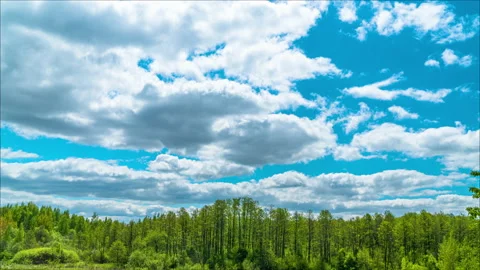Clouds in the blue sky above the forest. timelapse Stock Footage 130969666