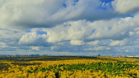Clouds in the blue sky and the city behind the autumn trees in the forest, day t Stock Footage 164535334