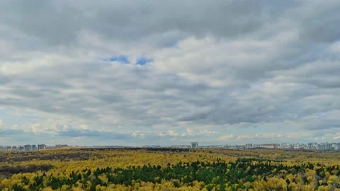 Clouds in the blue sky and the city behind the autumn trees in the forest, day  Stock Footage 166494875