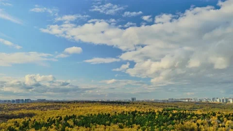 Clouds in the blue sky and the city behind the autumn trees in the forest, day t Stock Footage 167149892