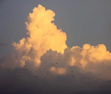 Clouds in the blue sky background Stock Photos