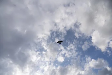 Clouds in the blue sky, cloudy sky, sky Stock Photos