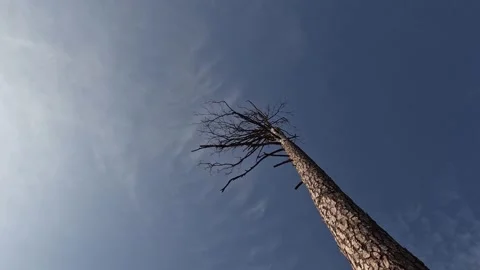 Clouds in the blue sky fly over an old, Stock Footage 196105939