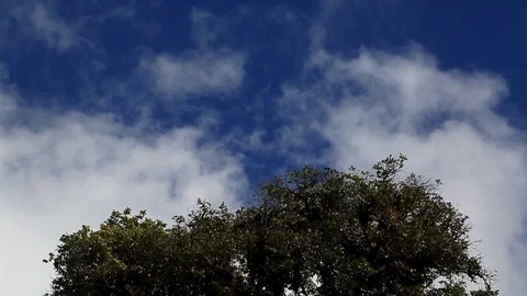 Clouds blue sky Stock Footage 97206989