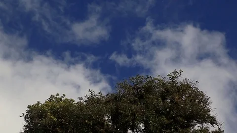 Clouds blue sky Stock Footage 97207193