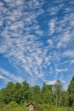 Clouds on the blue sky over the forest at summer Stock Photos