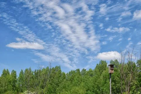 Clouds on the blue sky over the forest at summer Stock Photos