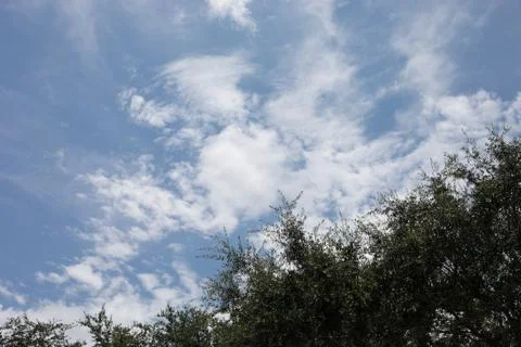 Clouds in a blue sky Stock Photos