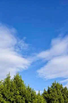 Clouds in the blue sky. Foto stock