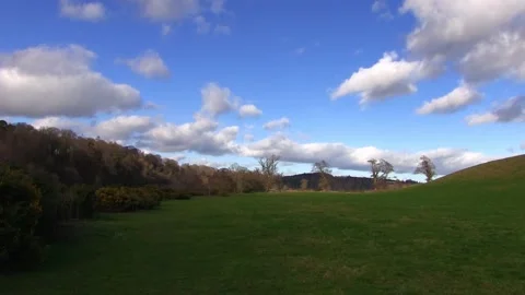 Clouds in blue sky time lapse over woodland trees Stock Footage 153603014