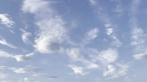 Clouds in the blue sky, unique real time video, great for skies replacement Stock Footage 197050049