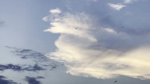 Clouds in the blue sky, unique real time video, great for skies replacement Stock Footage 197572888