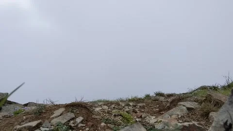 In the clouds with bugs Video stock 318557599