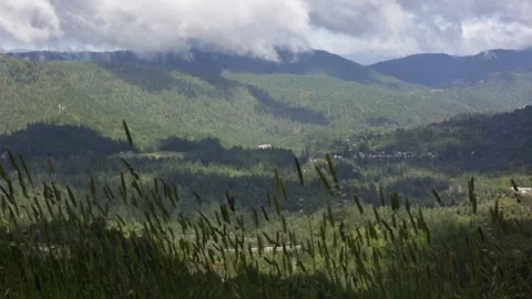 Clouds Casting a Shadow Over a MOUNTAINSIDE Valley/Shrubbery Blowing, (HD 24p) Stock Footage 272191916