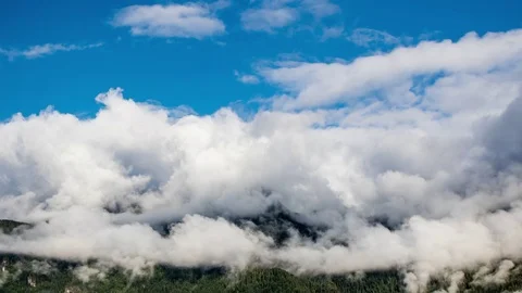 Clouds Churning over Tree Covered Mountaintops, 4k timelapse Stock Footage 73310029
