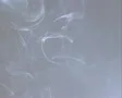 Clouds of cigarette smoke SD Footage