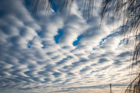 Clouds in the clear sky  Stock Photos