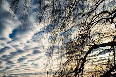 Clouds in the clear sky  Stock Photos