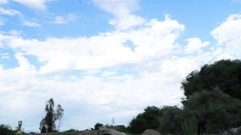 Clouds contrast with trees and rooftops under bright sky Stock Footage 312758121