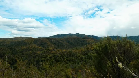 Clouds converging on mountain in Abel Tasman National Park Stock Footage 260367505