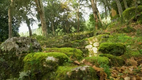 Clouds cover and diffuse light across old archaeological ruins in Spain Stock Footage 263732336