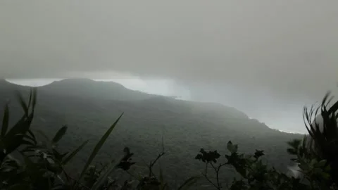 Clouds cover the forest sky 스톡 동영상 149123879