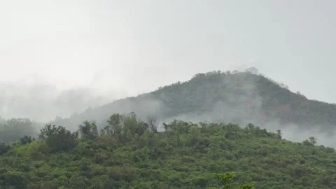 Clouds cover part of a mountain slope filled with jungle vegetation. Scenic dest Stock Footage 338001192