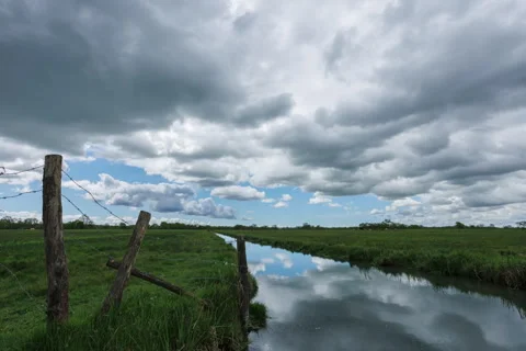 Clouds cover swamp Video stock 315966921