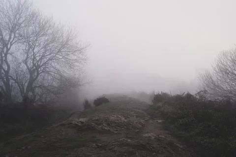 Clouds covering a path on a hillside. With trees appearing out of the fog Stock Photos