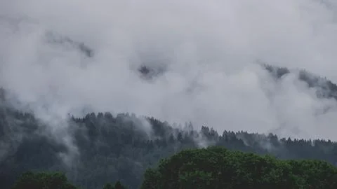 Clouds Covering Trees Stock Photos