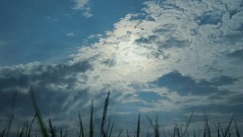 Clouds Creep Across The Sun While Grass Waves In The Wind Slow Motion 4K Stock Footage 308393893