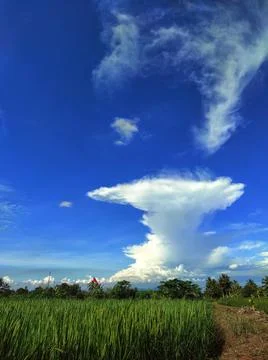 Clouds cumulonimbus Stock Photos