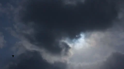 Clouds dark bird HD Stock Footage 23921313